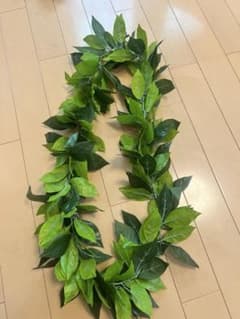 フラダンスレイのサムネイル