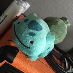 れんさま専用 へんしん メタモン フシギダネ ぬいぐるみのサムネイル