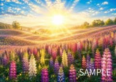 ルピナスの花畑 風景画 デジタルアートのサムネイル