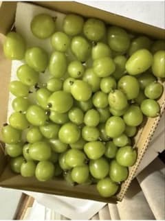 シャインマスカット　粒だけ1kg 淡路島産　追加セール③のサムネイル