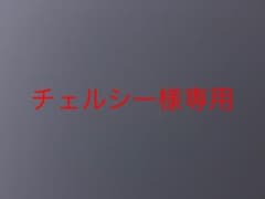 チェルシー様専用　ポケモンカード　コレクション引退品　高額カード未開封サプライのサムネイル