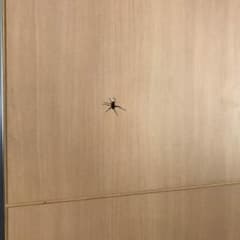 ムンク様専用のサムネイル
