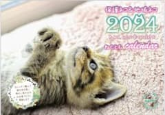 保護ネコ＆地域ネコ　ねこともカレンダー2024のサムネイル