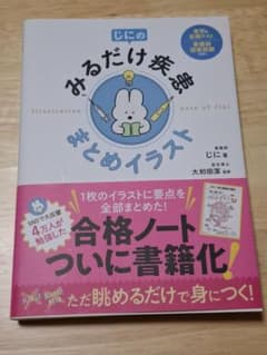 じにの みるだけ疾患まとめイラスト　実習&定期テスト　看護師国家試験対応のサムネイル