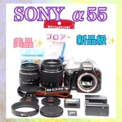 ◇美品◇SONY α55◇Wレンズセット◇一眼レフカメラ◇スマホ転送◇お得