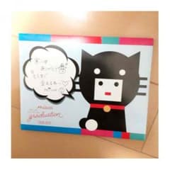 miwa カイロ 非売品のサムネイル