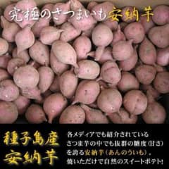 A品 農薬栽培期間中不使用 種子島産安納芋SSサイズ10キロ ワケアリじゃ