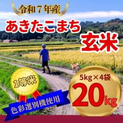 玄米□あきたこまち20kg(5kg×4)農家直送 - メルカリ