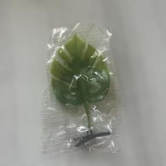 草生えてて草 ヘアクリップ AMUSEのサムネイル
