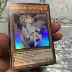 遊戯王　灰流うらら　ウルトラのサムネイル