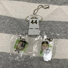 阪神タイガース　梅野隆太郎　ガラコロのサムネイル