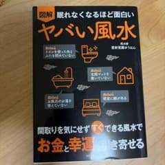 図解眠れなくなるほど面白いヤバい風水のサムネイル