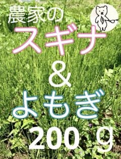 よもぎ&すぎな　生葉　200g 埼玉県産のサムネイル