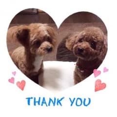 ♡コーチ♡サングラス♡のサムネイル