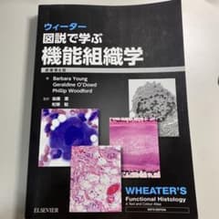 ウィーター 図説で学ぶ機能組織学のサムネイル