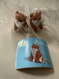 おすわり〜ぬ3のサムネイル