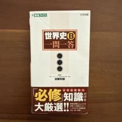 世界史B一問一答【必修版】のサムネイル