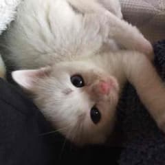 なな様専用のサムネイル
