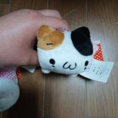 이모티콘 냥코 흰 고양이, 삼모 고양이 당지 쇼본 야마가타 첨부