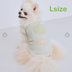 ジェラートピケ CAT&DOG フルーツジャガードプルオーバー メロン L 犬
