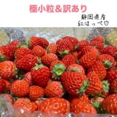 朝採り 紅ほっぺ 極小粒 〜農家直送〜 いちご - メルカリ