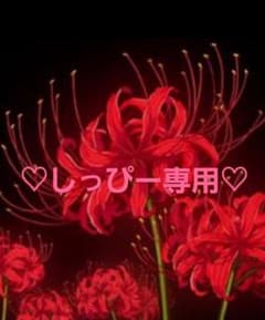 ♡しっぴー専用♡のサムネイル