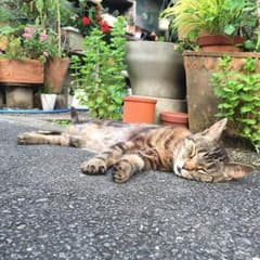 jitu jitu 様専用のサムネイル