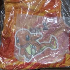 ポケモン ヒトカゲ 他　メッシュ ビブス 10枚のサムネイル