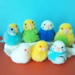 こちゃこちゃ　インコセットのサムネイル