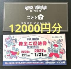 ヴィレッジヴァンガード株主優待券 1000円×12枚　12000円分のサムネイル