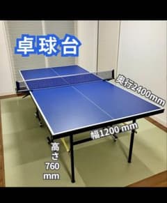 卓球台 家庭用サイズ セパレート式(移動キャスター付) 天板16mmのサムネイル