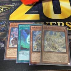即購入OKさん専用のサムネイル