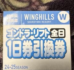 WINGHILLS ゴンドラ・リフト 1日券 24-25シーズンのサムネイル
