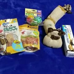 フェレットのサムネイル