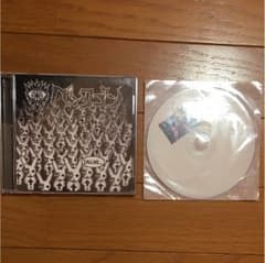 ペンタゴン 音源 コメントDVDのサムネイル