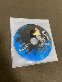 ちゃんちー様専用　Summer Paradise 2017のサムネイル