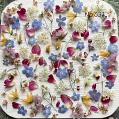 No,631 特小小花ミックス　ドライフラワー花材のサムネイル