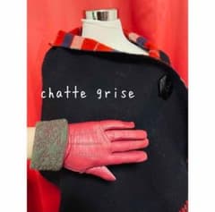 稀少ヴィヴィアン星オーブハート刺繍レザーグローブ手袋赤タッチパネル二階堂椎名林檎 稀少ヴィヴィアン星オーブハート刺繍レザーグローブ手袋赤タッチパネル