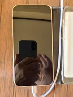 Apple iPhone 12 Pro シルバー 本体SIMフリーのサムネイル