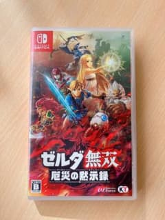 ゼルダ無双 厄災の黙示録　Nintendo Switchのサムネイル