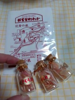 さくら貝小瓶 3本セット　能登のサムネイル