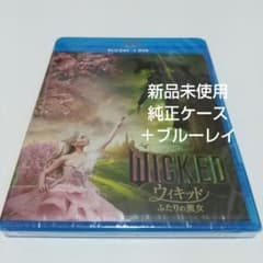 라스카루님 요청 2점 정리 상품