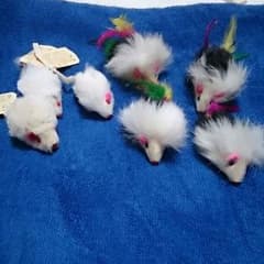 ねずみさん確認用です。のサムネイル