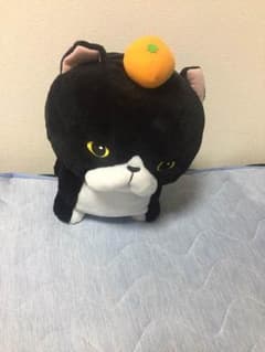 ぬいぐるみのサムネイル
