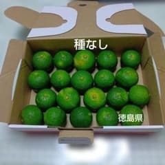 種なしすだち　現品　大２０個+ミニサイズおまけのサムネイル
