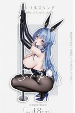 승리의 여신 NIKKE 니케 헬름 토끼 아크릴 스탠드