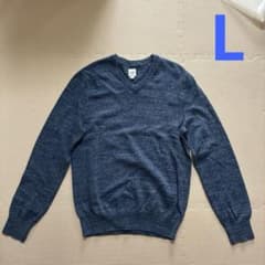 GAP OLD GAP メンズ　Vネックニットセーター　L