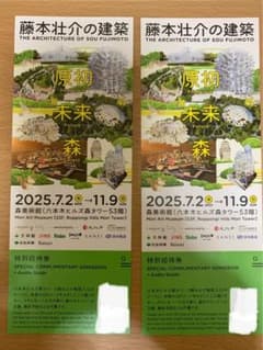 藤本壮介の建築展 特別入場券2枚のサムネイル