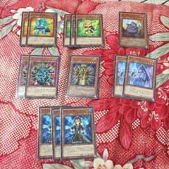 龍華様 専用 購入しないで下さいのサムネイル