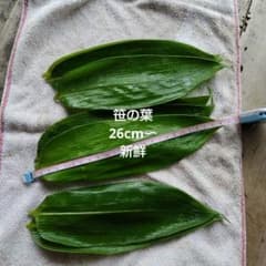 ちまき用に26cm 300枚と予備のサムネイル